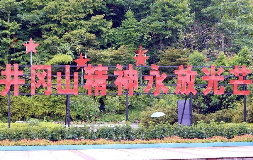 图片 12.png