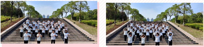 1705154234506440.png 1705153706760.png
