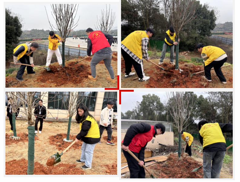 1742645555716372.png 屏幕截图 2025-03-22 201225.png