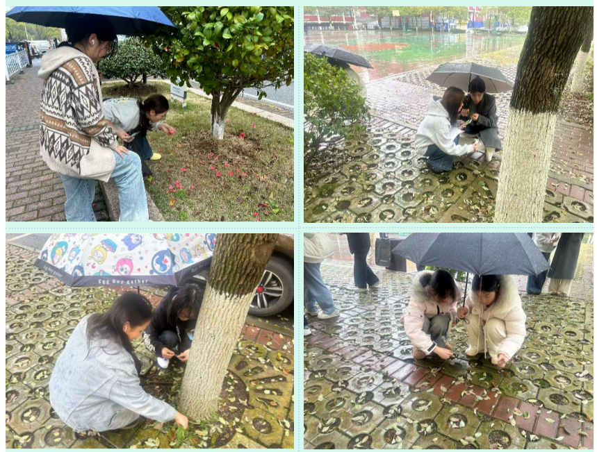 1742646765776369.png 屏幕截图 2025-03-22 203235.png
