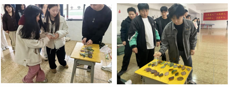1742647689405931.png 屏幕截图 2025-03-22 204759.png